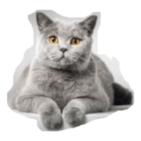 sticker image #6