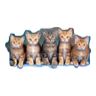 tray_icon