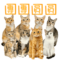 sticker image #6