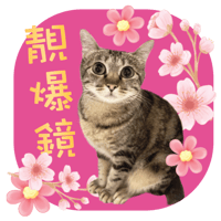 sticker image #9