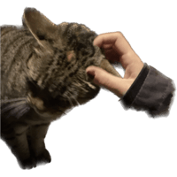 sticker image #2