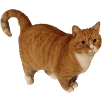 sticker image #3