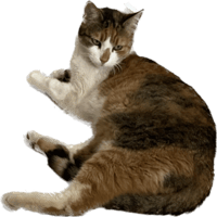 sticker image #4
