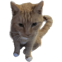 sticker image #5