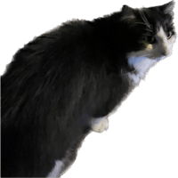 sticker image #6