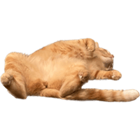 sticker image #7