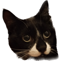 sticker image #8