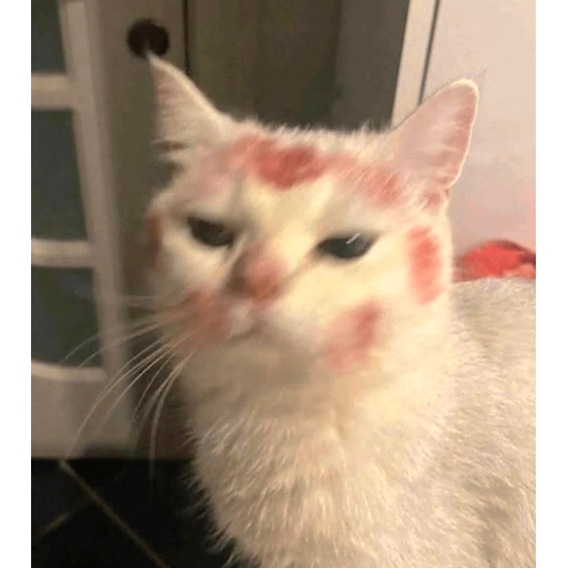 tray_icon #122487 sticker_pack