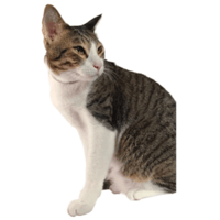 sticker image #1
