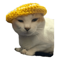 sticker image #10