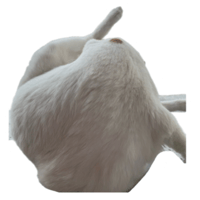 sticker image #11