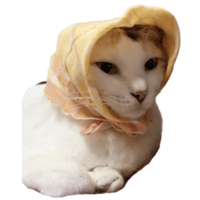 sticker image #13