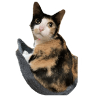 sticker image #14