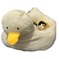 sticker image #15