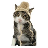 sticker image #17