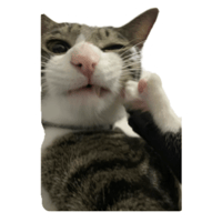 sticker image #18