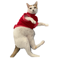 sticker image #19