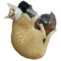 sticker image #2