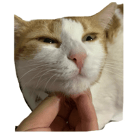sticker image #20
