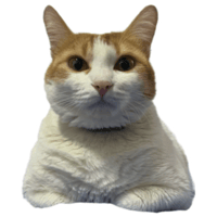 sticker image #21