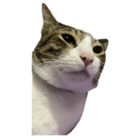 sticker image #22
