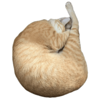 sticker image #23