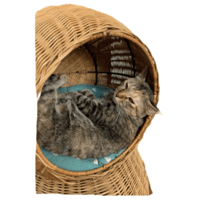 sticker image #24