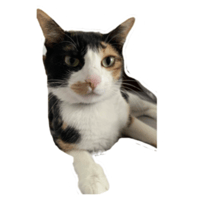 sticker image #25