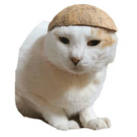 sticker image #3