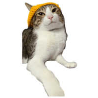 sticker image #4