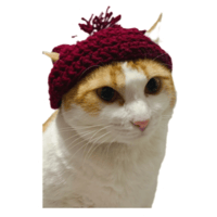 sticker image #5