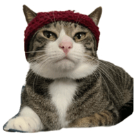sticker image #8