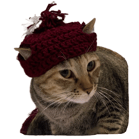 sticker image #9
