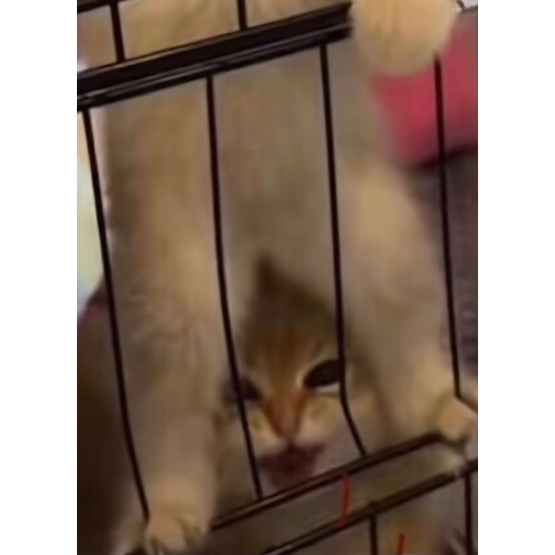 tray_icon #129088 sticker_pack