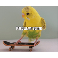 sticker image #1