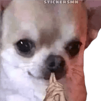 sticker image #10