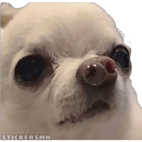 sticker image #12