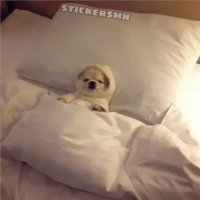 sticker image #15