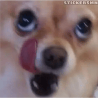 sticker image #21
