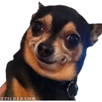 sticker image #22