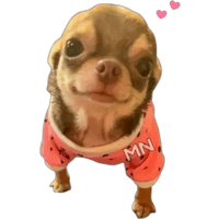 sticker image #23