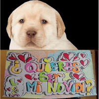 sticker image #1