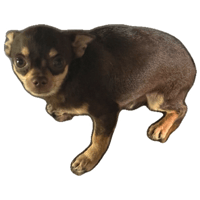 sticker image #1