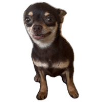 sticker image #2