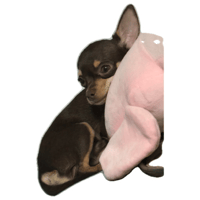 sticker image #4