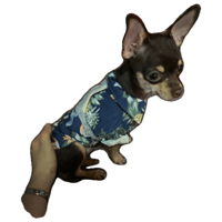 sticker image #5