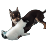 sticker image #6