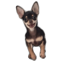 sticker image #7