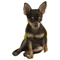 sticker image #8