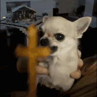 sticker image #12